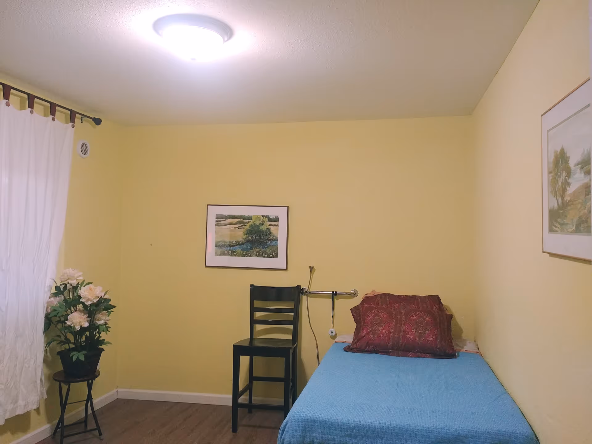 Yellow-walled bedroom with single bed, chair, plants, and framed art.
