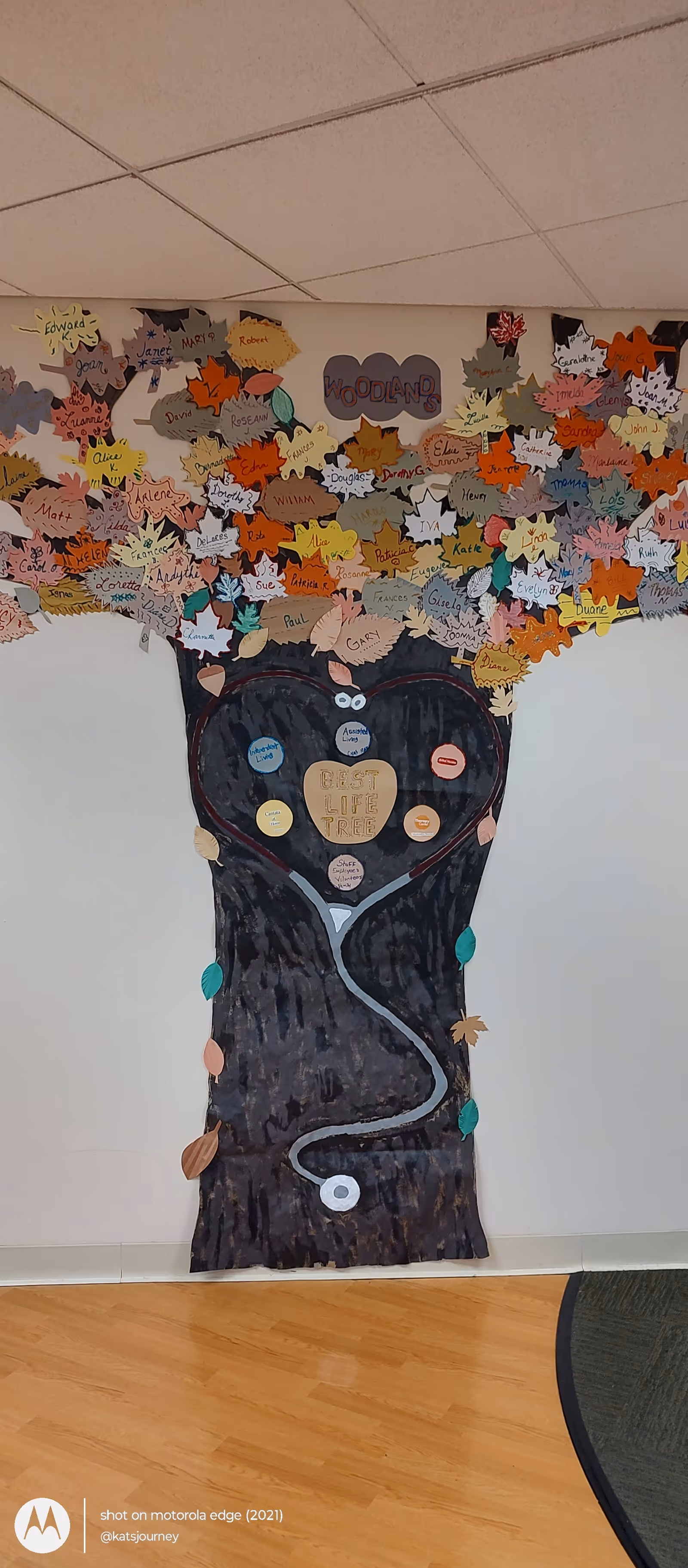 Interior wall mural of a large tree with colorful leaves and names