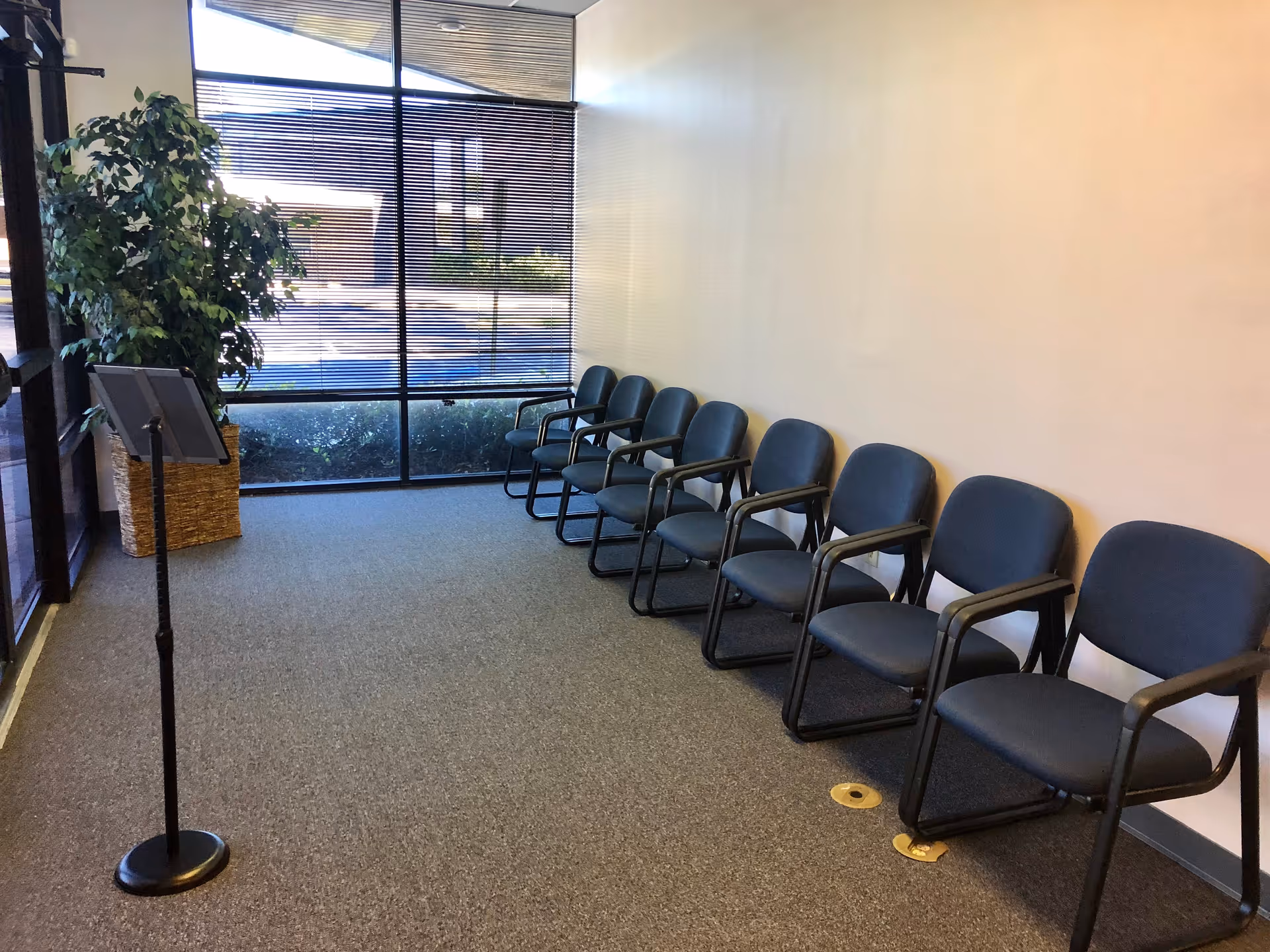 Row of blue chairs along a windowed wall in a quiet waiting area.